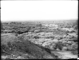 Yuma Indian dwellings near the Colorado River on the Yuma Indian reservation, ca.1900