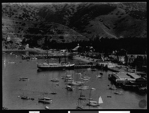 View of Avalon and harbor ca.1910