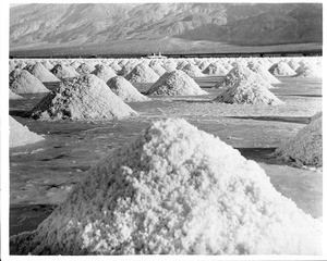 Salt stacks drying, California, ca.1910