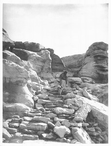 Hopi Indian woman and dog walking the stone steps on the trail to the village of Mishongnovi, ca.1900