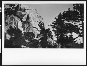 Rounded boulder formation edged by trees at the right