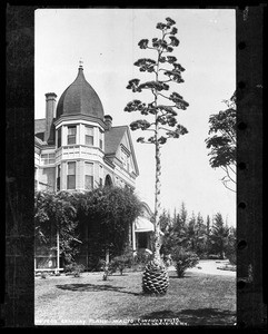 Exterior view of an unidentified residence in Rialto, showing a century plant in front yard, ca.1907