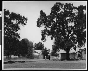 Distant view of Rancho Estrella adobe, San Luis Obispo County, August, 1938