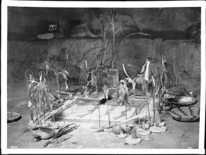 Sacred altar, made of corn meal, in the antelope kiva at the pueblo of Walpi, Arizona, ca.1898