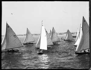 Several yachts on the ocean, each with a number in its sail