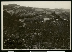 Panoramic view of a home and surrounding hills, ca.1900