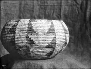 Indian basket displayed in front of a cloth backdrop, ca.1900