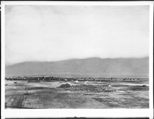 Pasadena in panorama looking northeast from Raymond Hill, ca.1883