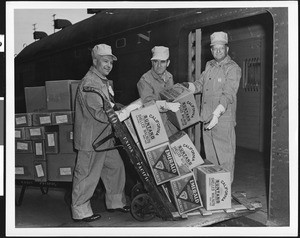 Workers loading boxes of walnuts on Union Pacific Railroad car, ca.1940