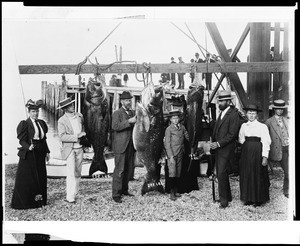 Portrait of eight people including Professor Holder displaying their catch of large fish on Catalina Island, ca.1905