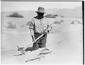 Man in a cavalry uniform driving a pick into the sand