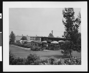 Consolidated Engineering employee rest area with picnic tables, May 1953