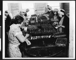 Workers in an olive factory, ca.1920