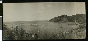 Large steamship backing out of Catalina Harbor, ca.1908