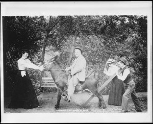 Portrait of a man posing on a saddled donkey as his friends chidingly try to get it to move, ca.1900