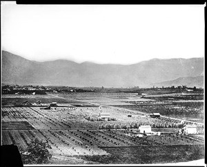 Panoramic view of Pasadena looking north from Raymond Hill, ca.1889