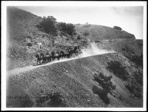 Stagecoach on road on Catalina Island, ca.1903-1905