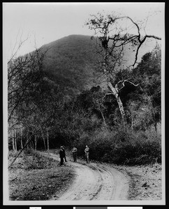 California Botanic Gardens, showing men on dirt path