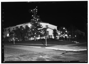 Outdoor Christmas tree at home of Emmett B. Wheeler, December 26, 1930