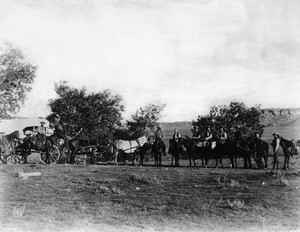 Portrait of cowboys leaving camp, ca.1898