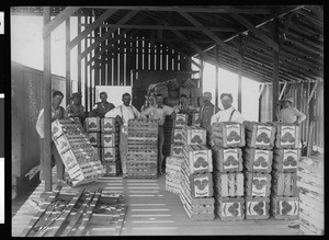 Workers near crates of cantelope in Imperial Valley, ca.1910