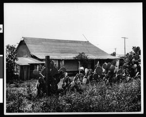 Exterior view of the Caneda adobe, showing cacti in the foreground, San Juan Capsistrano, ca.1930