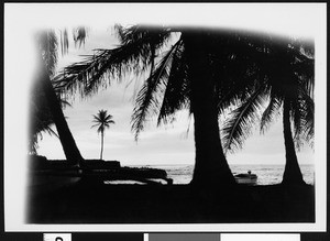 Boat on a Hawaiian beach