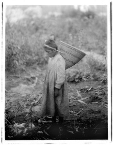 Young Havasupai Indian girl carrying a "Kathak" on her back, ca.1900