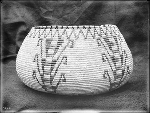 Indian basket displayed in front of a cloth backdrop, ca.1900