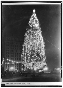 Examiner Christmas Tree, showing a park at night, 1928