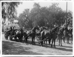 Decorated carriage, "Tallyho", drawn by six black horses during the Tournament of the Roses Parade, ca.1895-1899