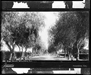 Early view of an unpaved Vega Street lined with trees in Alhambra, ca.1896