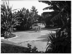 Woman in a park near the south side of an unidentified city hall building, October, 1943