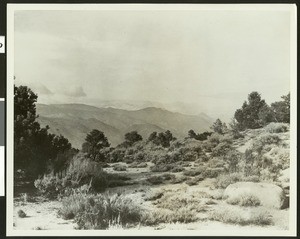 Mountain peaks showing a flat of scrub vegetation in the foreground, Altadena