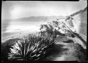 View of the Santa Monica beach looking north from the Palisades walk, ca.1905