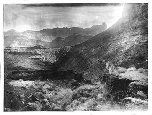 Looking northeast from Bass Rock Camp, Rock Cave, Grand Canyon, ca.1900-1930