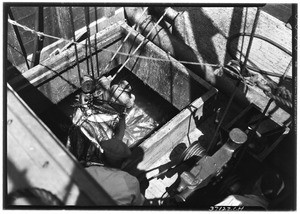 Tuna being unloaded from the hold of a ship, ca.1920-1939