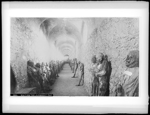 View of about fifty mummies awaiting burial, Mexico, ca.1905