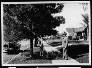 Department of Public Works employees removing branches from a neighborhood tree