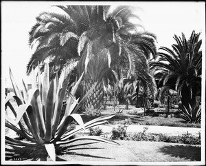 The park at Santa Fe Depot, Los Angeles(?)