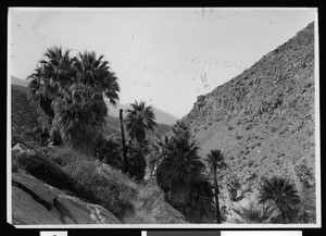 Palm Springs view, ca.1940