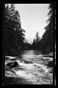 Wide river with large trees on either side, showing large rocks and rapids in foreground, Yellowstone National Park, Wyoming