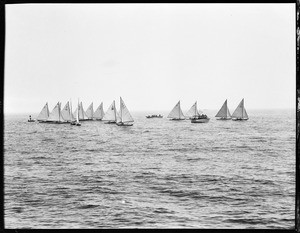 Row of single-masted sailboats on the water