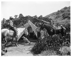 Two men in a camp among the grapes, ca.1930