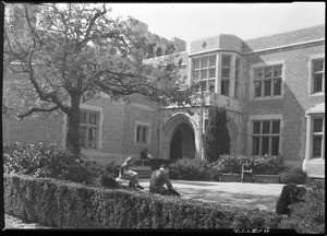 Students studying in a courtyard at the University of California at Los Angeles, February 1938