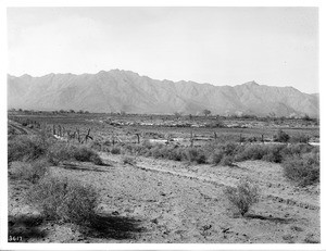 Farm fields on the Pima Indian Reservation, Pima, Arizona, ca.1900