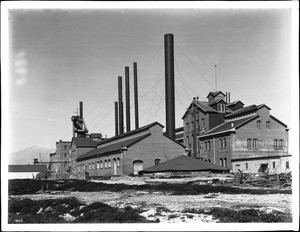 Sugar factory in Chino, California, ca.1906