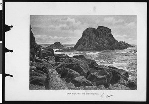 Lion Rock at the lighthouse in Newport, Oregon