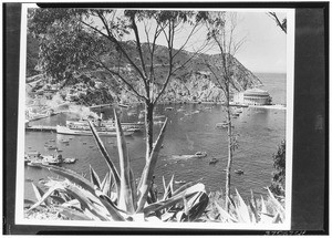 View of Avalon Harbor, showing the Casino and moored boats