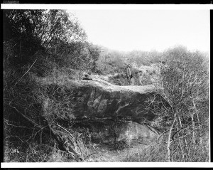 View of the Natural Bridge in the north side of Elysian Park, showing a man standing on the bridge, ca.1905